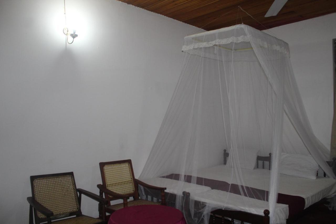 Lazy Bear Best Hostel In Kandy Exterior foto