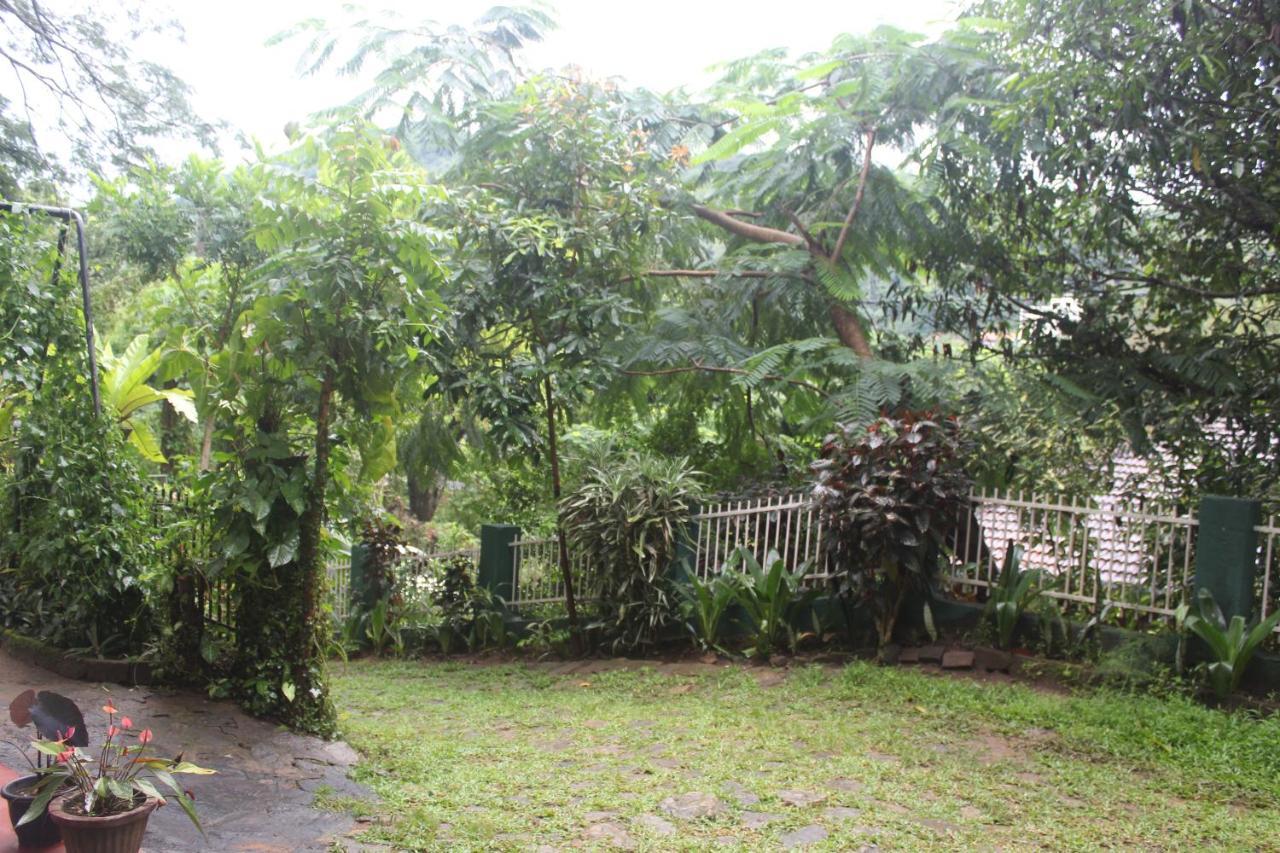 Lazy Bear Best Hostel In Kandy Exterior foto