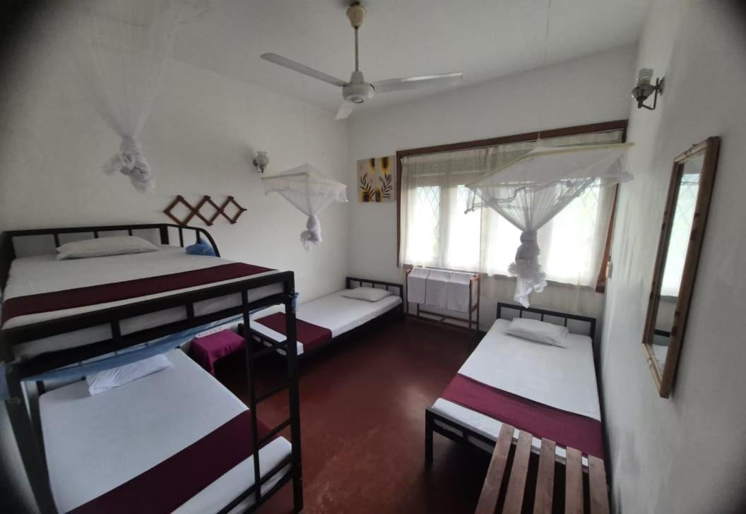 Lazy Bear Best Hostel In Kandy Exterior foto